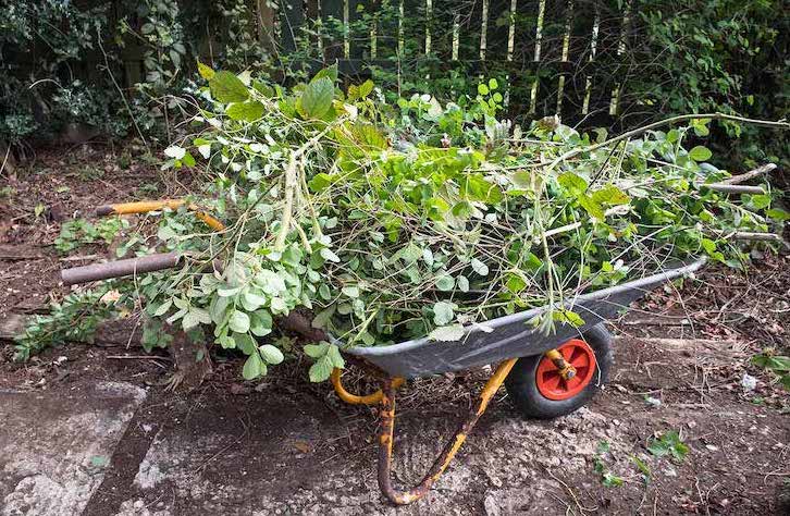 Five Ways to Prep Your Garden for Summer